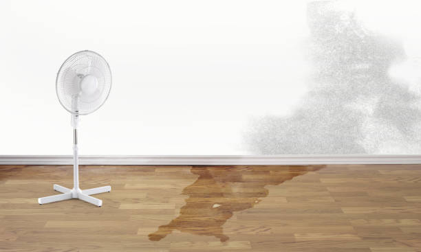 Best Flood restoration services  in Fairview Park, IN