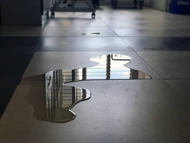 Best Water damage cleanup near me  in Fairview Park, IN