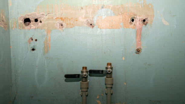  Fairview Park, IN Water damage restoration Pros